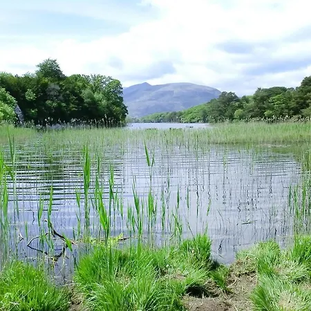 Cottages Lakeland - Eir03068-fyb